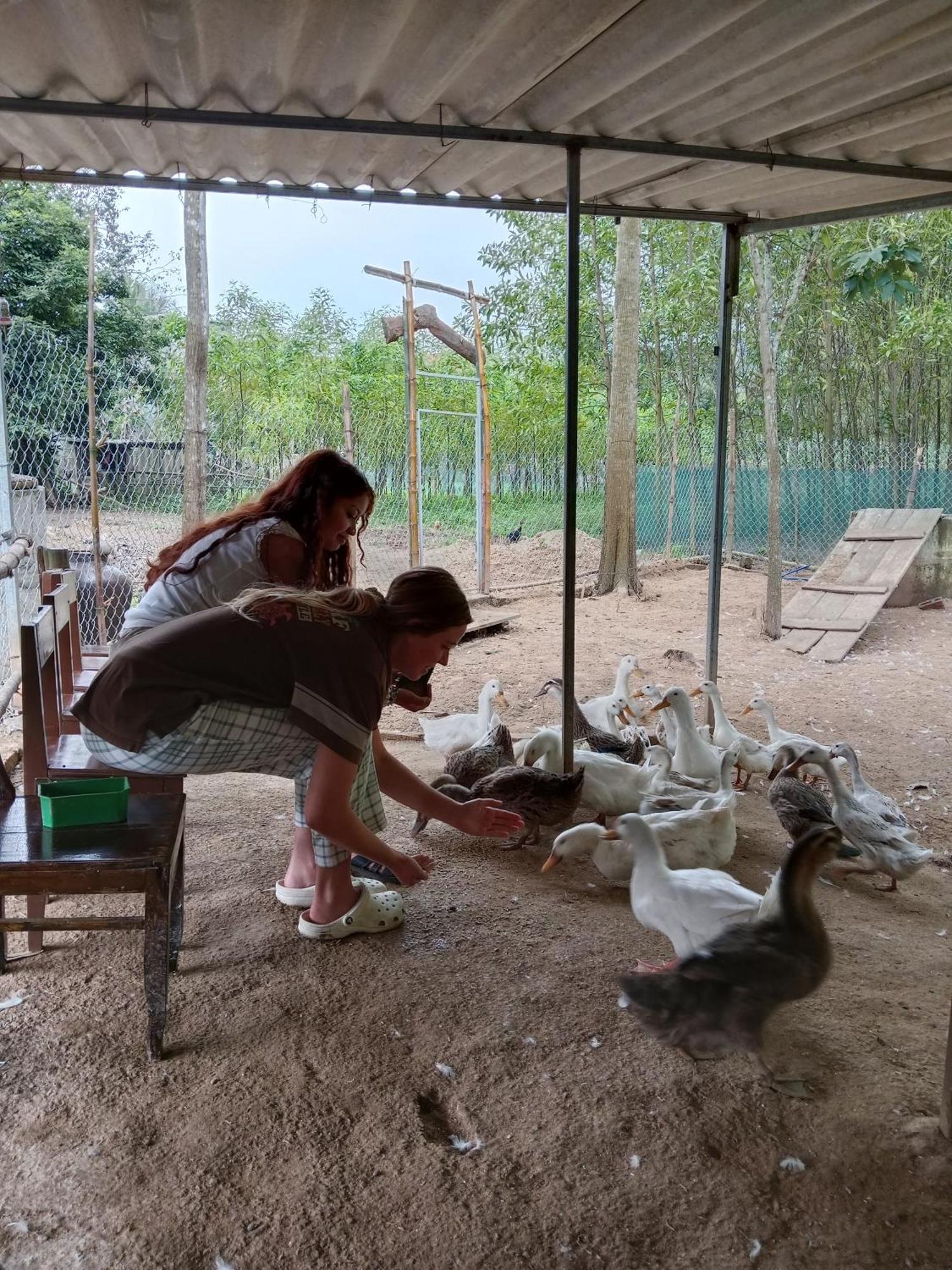 Phong Nha Magic Fingers Homestay And Spa Exterior photo