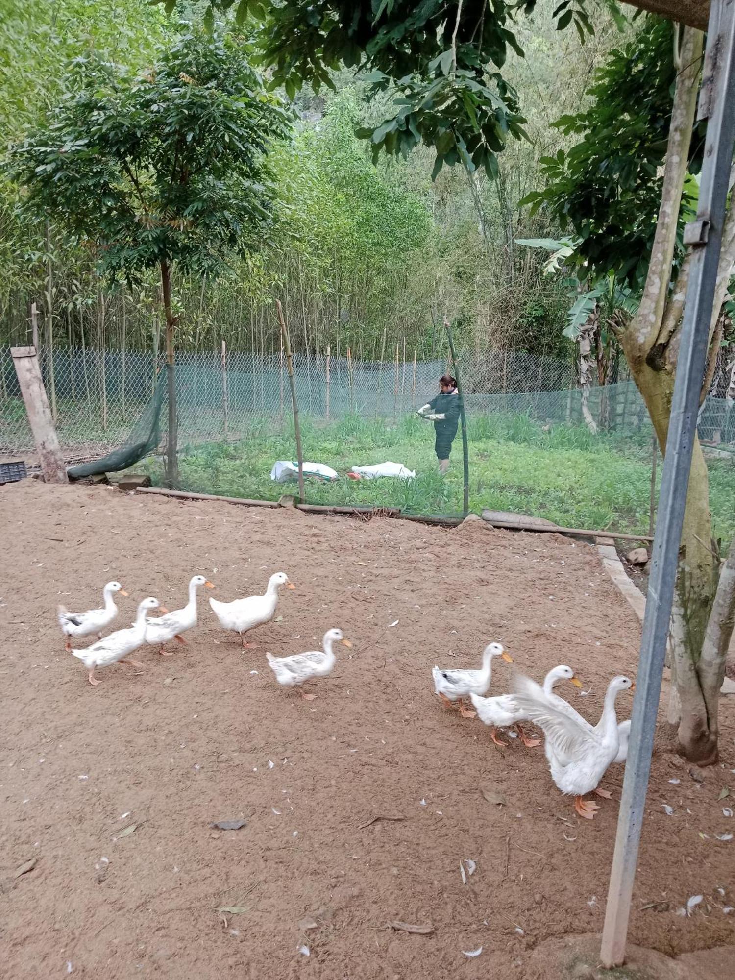 Phong Nha Magic Fingers Homestay And Spa Exterior photo